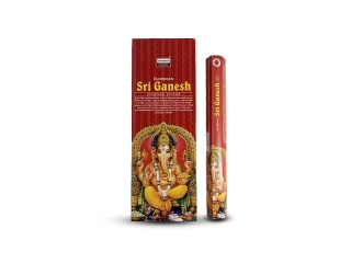 SRI GANESH