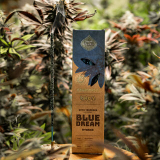 BLUE DREAM