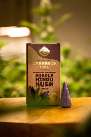 PURPLE HINDU KUSH