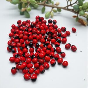 Semilla de Huayruro x5g