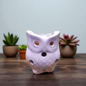 Lampara de Sal Cuenco Lechuza mini N66