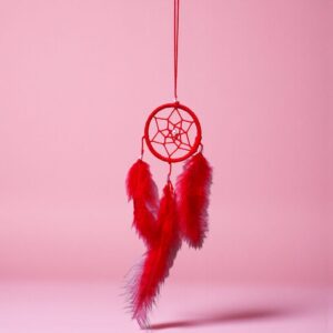 Atrapasueño Plumas Artesanal (Ø 7cm)