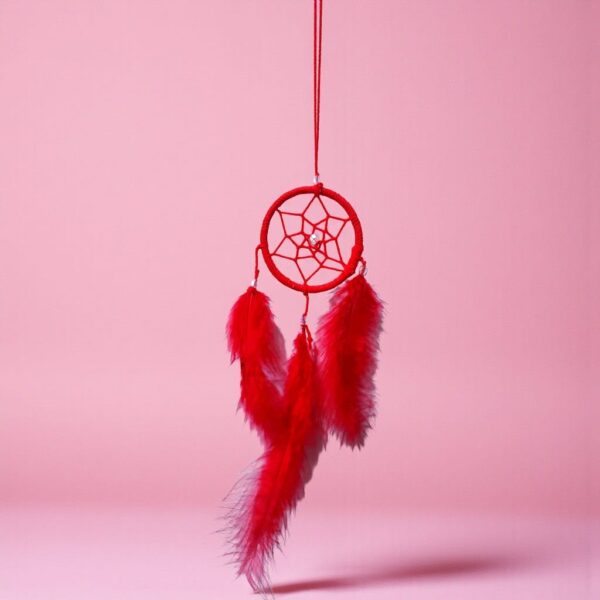 Atrapasueño Plumas Artesanal (Ø 7cm)