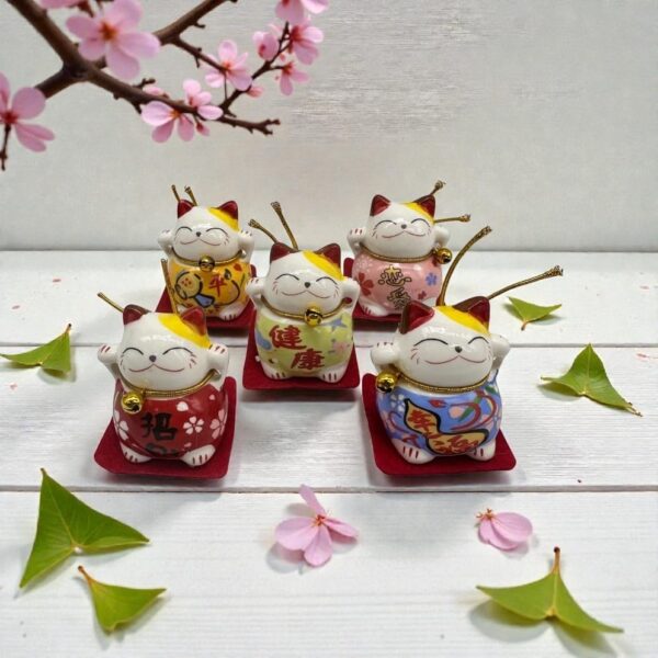 Set Neko Ceramico x5u