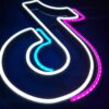 Logo TikTok 25cm
