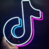 Logo TikTok 25cm